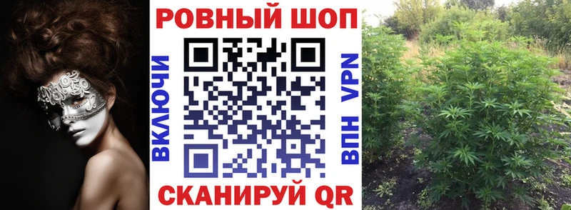 Виды наркоты Сретенск Псилоцибиновые грибы ГЕРОИН ГАШ Меф Каннабис APVP