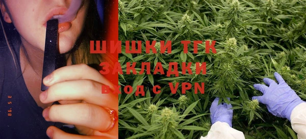 стафф Арсеньев