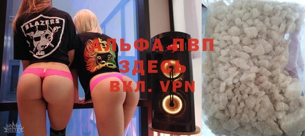 стафф Арсеньев